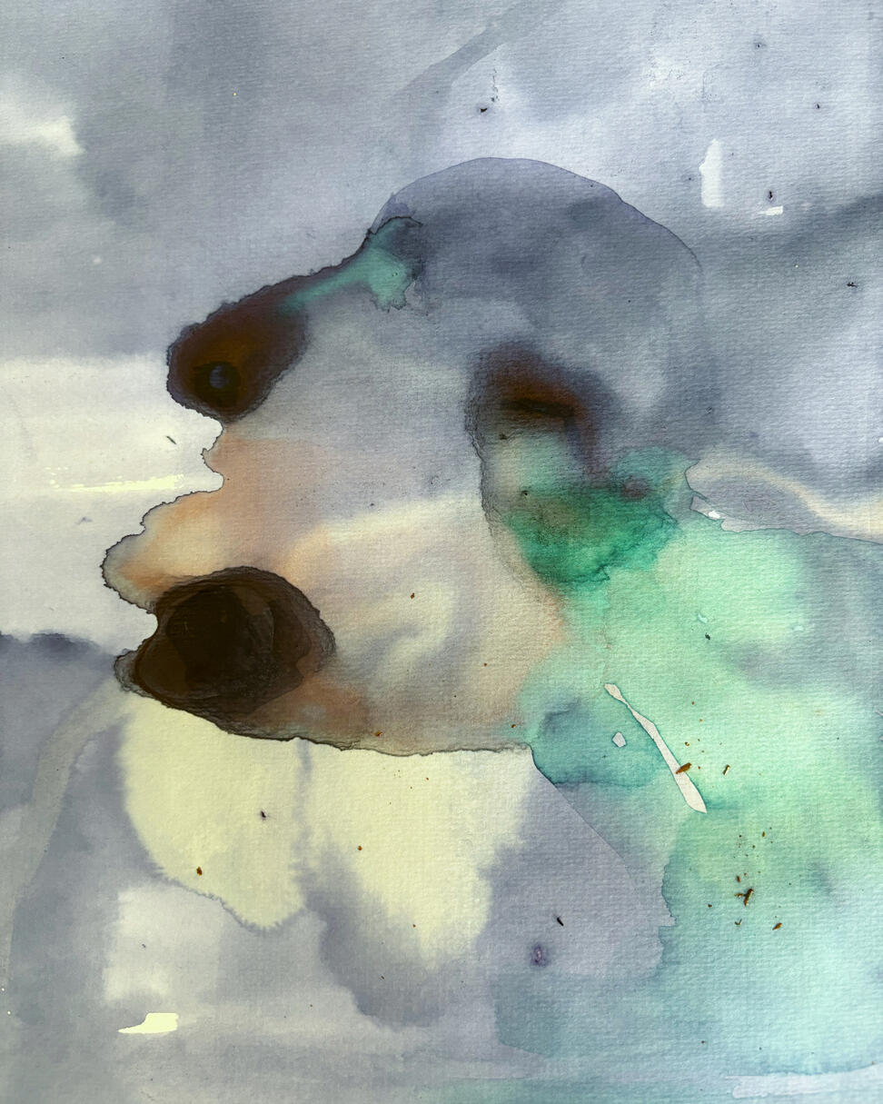 &quot;Ser del hibisco&quot; Acuarela y té de hibisco sobre papel, 2023