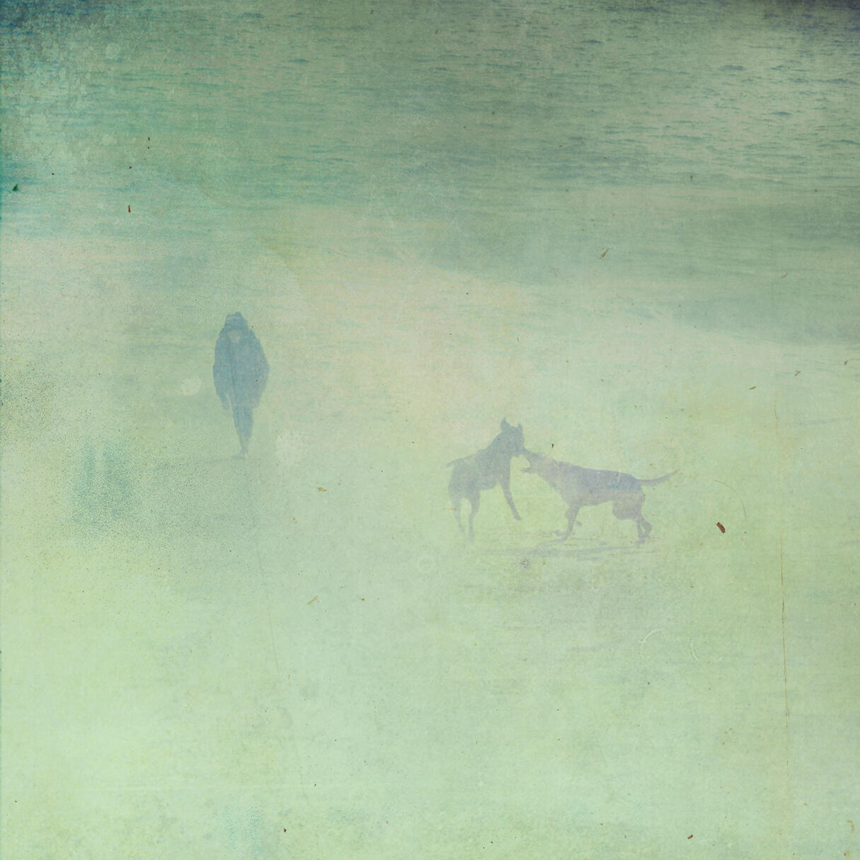 s/t fotografía digital para disco &quot;Tres veces nuestro&quot; Del Favero, 2013